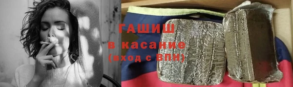 сатива Ельня