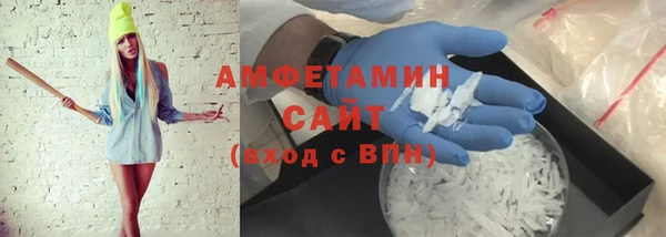 сатива Ельня