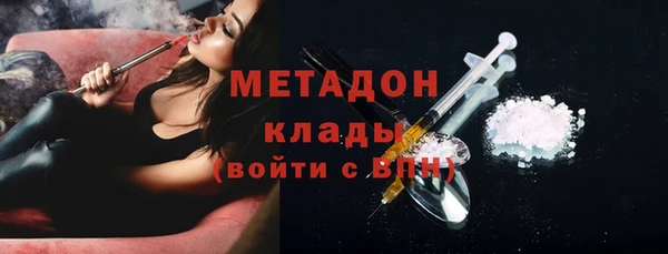 сатива Ельня
