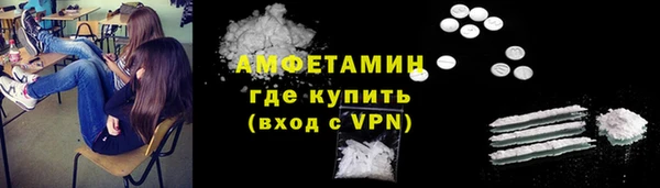 сатива Ельня
