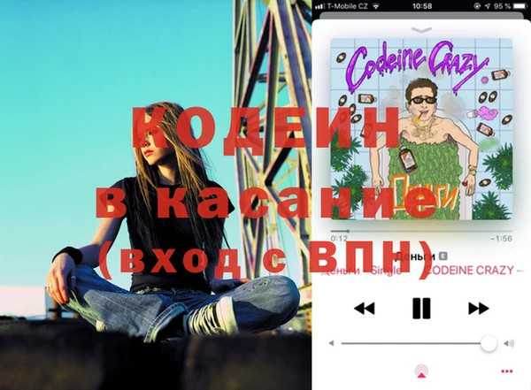сатива Ельня