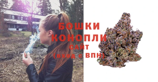 сатива Заволжье