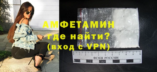 сатива Ельня