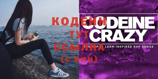 сатива Ельня