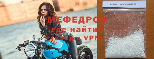 сатива Ельня