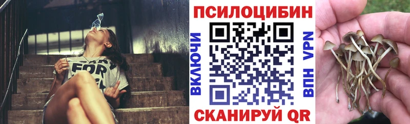 Галлюциногенные грибы прущие грибы  купить  цена  Заринск 