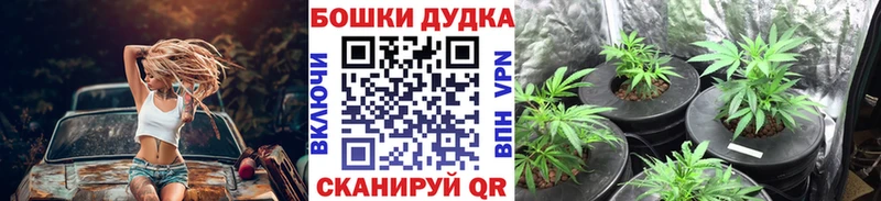 Каннабис семена  hydra маркетплейс  Заринск  как найти  